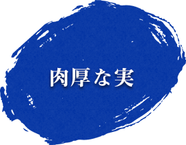 肉厚な実